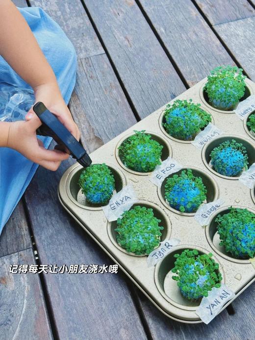 【朝阳区植树】我为地球充植 ，拥抱春天，种下希望——共植一棵樱桃树，土壤实验，摔泥巴比赛、泥巴锡纸烤鸡蛋、制作地球种子 商品图4