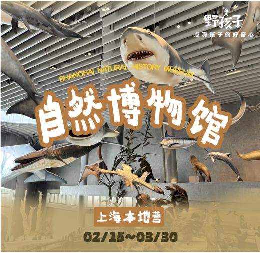 上海-周末 | 走进上海自然博物馆，追溯自然之源 商品图0