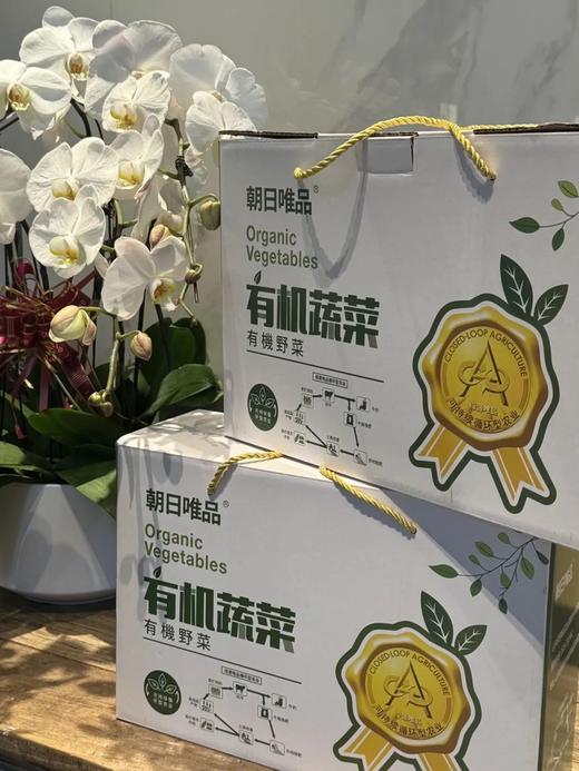 8大超值新鲜应季有机蔬菜！农场直达餐桌！营养健康又美味！ 商品图8