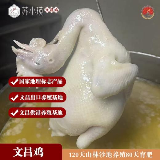 150天文昌鸡 整只 商品图1
