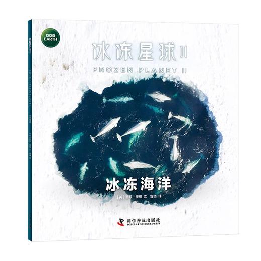 BBC系列：冰冻星球Ⅱ（全6册）根据BBC同名纪录片全新改编 附赠原纪录片片段  商品图3