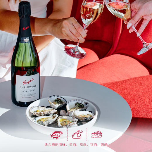 奔富特酿香槟 商品图5