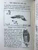 1931年 艾伦·西比《飞鸟图集》 作者亲绘134幅插图 漆布精装32开 商品缩略图14