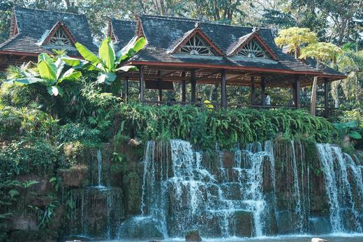 【无锡专拍】【联合发班】5星好评爆款！奢玩西双版纳之旅，比东南亚更绝的人间宝藏，过「高奢」版向往生活 商品图5