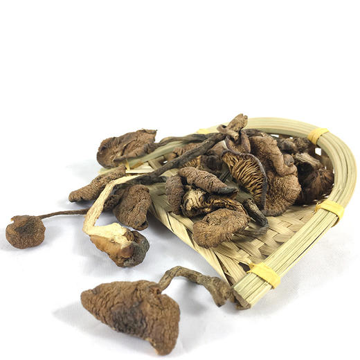 有机榛蘑 250g 商品图4