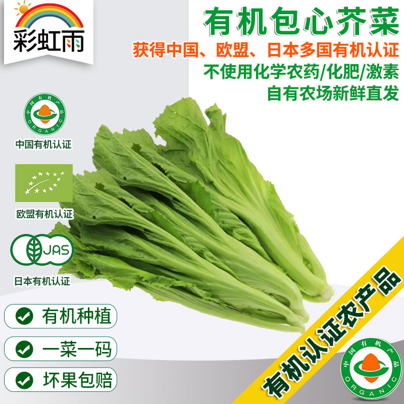 有机蔬菜 新鲜包心芥菜250g欧盟认证全国发货满额包邮