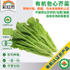 有机蔬菜 新鲜包心芥菜250g欧盟认证全国发货满额包邮 商品缩略图0
