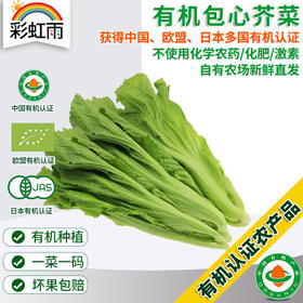 有机蔬菜 新鲜包心芥菜250g欧盟认证全国发货满额包邮