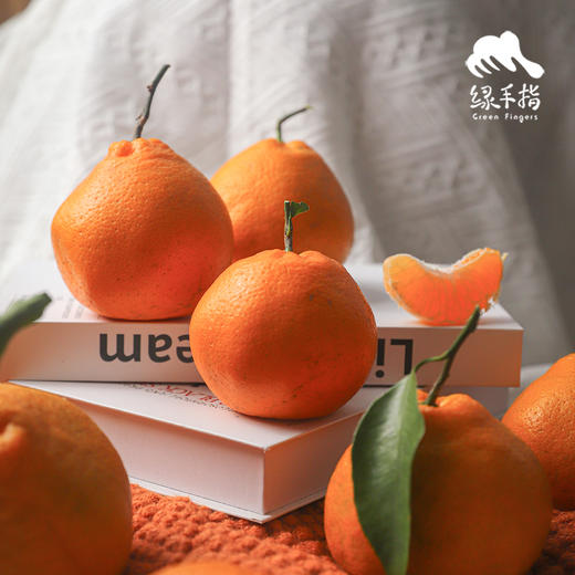 生态耙耙柑（满2件赠果酱）  | 合作生产 *Ecological Harumi Tangerine | Partner Production 商品图3