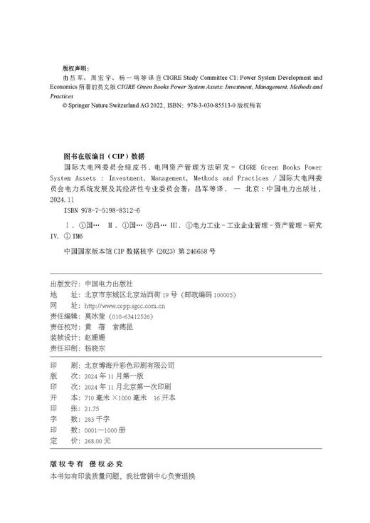 国际大电网委员会绿皮书   电网资产管理方法研究 商品图3