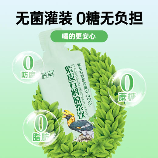 极斛紫皮石斛原浆饮品 30ml/袋 商品图4