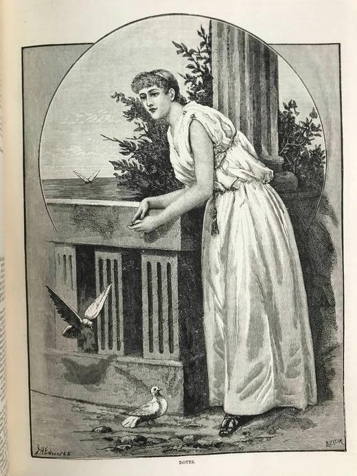 1890年 女孩杂志 数百幅精美插图 漆布精装16开 商品图11