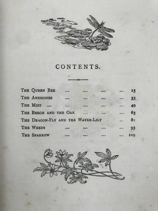 1908年 卡尔·爱华尔德自然故事集 杜拉克等8幅彩色与大量黑白文件插图 漆布精装32开 商品图4