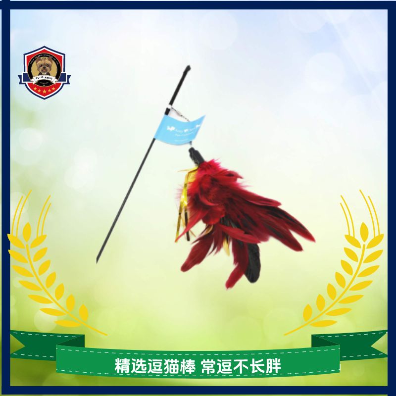 超长杆逗猫棒
