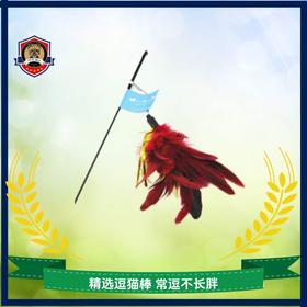 超长杆逗猫棒