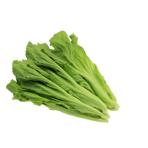 有机蔬菜 新鲜包心芥菜250g欧盟认证全国发货满额包邮 商品图3