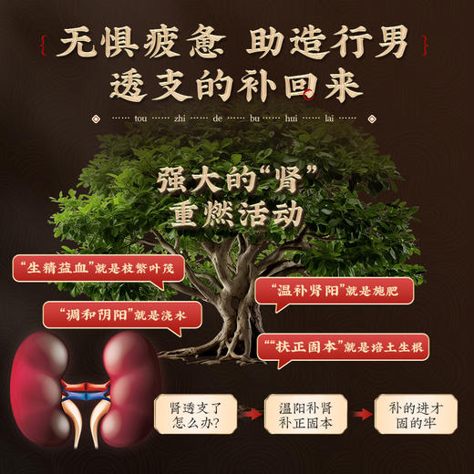 生本元参灵雄龙膏中医【本店均为正品】其他店铺没有授权均为假货 商品图1