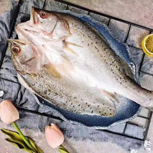 【分仓直发包邮】开背鲜鲈鱼开背鲜鲈鱼500g/条*4条装（净重350克左右）（不低于325g） 商品图0