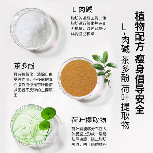 保萃颜茶多酚荷叶胶囊左旋肉碱甩脂排油男女肥胖官方正品旗舰店 商品图3