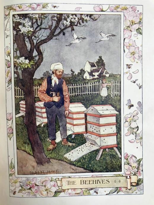 1908年 卡尔·爱华尔德自然故事集 杜拉克等8幅彩色与大量黑白文件插图 漆布精装32开 商品图10