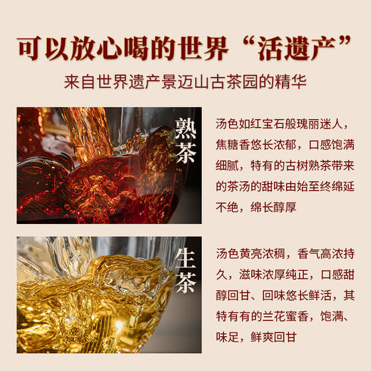 澜沧古茶2024年鼎和景迈普洱生熟茶生熟普古树茶叶送礼盒装 商品图5