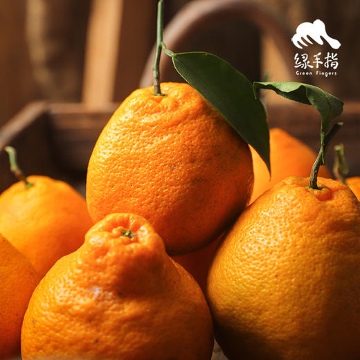 生态耙耙柑（满2件赠果酱）  | 合作生产 *Ecological Harumi Tangerine | Partner Production 商品图4