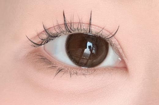 Fairycon日抛 · 松栗奶油  14.2mm白狮参考着色中等直径 日抛一盒十片装 商品图2