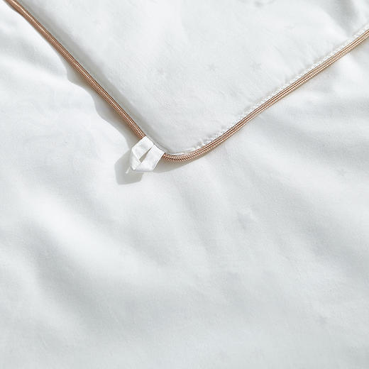 【春上新】10楼 安睡宝 逸棉点绗桑蚕丝柔丝抗菌四季被 吊牌价2499-3699元 活动价1099-1599元 商品图3