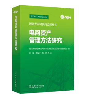 国际大电网委员会绿皮书   电网资产管理方法研究