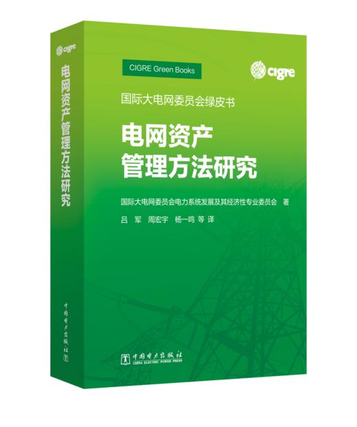 国际大电网委员会绿皮书   电网资产管理方法研究 商品图0