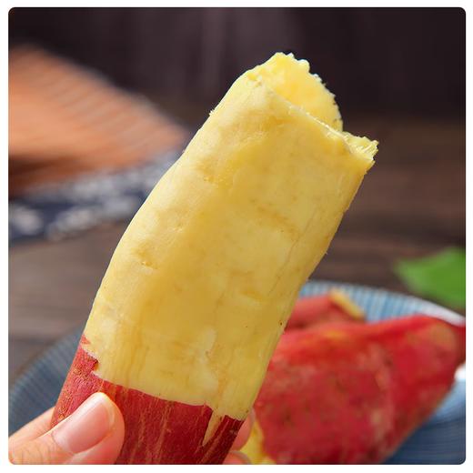 【分仓直发包邮】陕西板栗红薯3斤（5-8根）小果，单果100-200g 商品图1