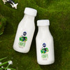 【快递到家-低温】极致有机鲜牛奶240ml*5 商品缩略图4