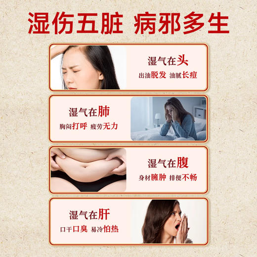 养多贝茯湿膏yabe伏湿膏调理脾胃舌苔白厚寒气重头发油痘痘 商品图1