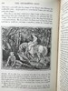 1893年 安德鲁·朗格《绿色童话书》 数十幅精美插图 漆布精装32开 商品缩略图9