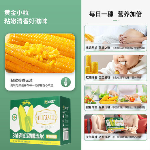 晓莺有机甜糯玉米220g*10穗/盒【XPTX】 商品图5