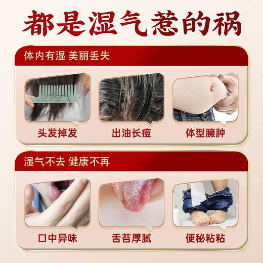 穗春然茯湿膏草本膏浓缩现熬伏湿膏滋补伏诗膏正品官方旗舰店 商品图1