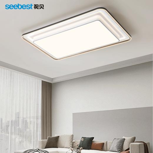 明悦系列-客卧灯(长方/正方/圆) 商品图0