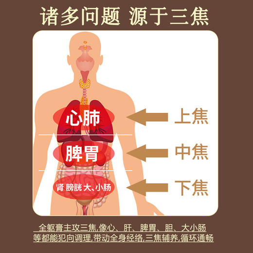 汉益初伏湿膏浓缩现熬茯湿膏草本膏滋补汉益初伏诗膏官方旗舰店 商品图4