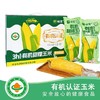 晓莺有机甜糯玉米220g*10穗/盒【XPTX】 商品缩略图1