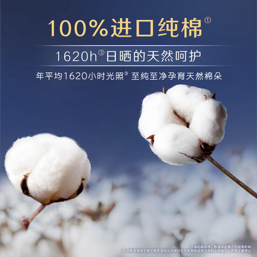 高洁丝臻选极薄/阳光烘烘纯棉夜用卫生巾420mm3片（新旧包装随机混发） 商品图11