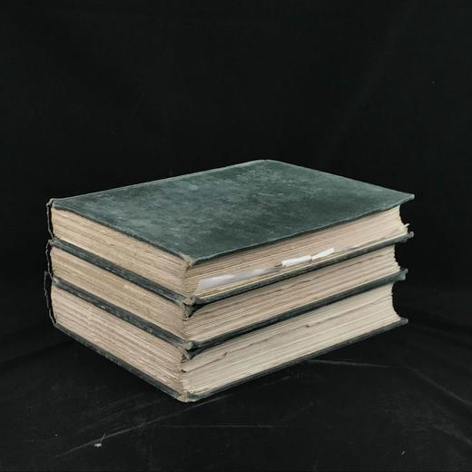 限量1000套！1899年 英国国家画廊图集（全3卷） 数千幅插图 漆布精装大16开 商品图1