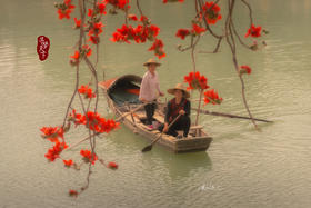 3月14日 佛山·顺德红棉&金木棉·678文化街一天