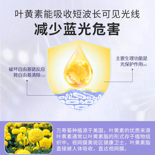 布漫生物蓝莓叶黄素酯片护眼缓解成人视疲劳保护眼力咀嚼片 商品图1