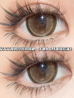 Donitz 月光蜜糖棕·半年抛型