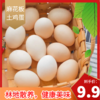 麻花板土鸡蛋10枚 林地散养 健康美味 商品缩略图0