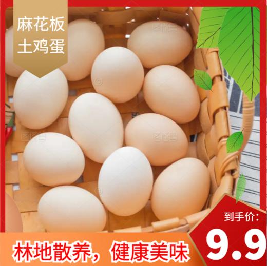 麻花板土鸡蛋10枚 林地散养 健康美味 商品图0