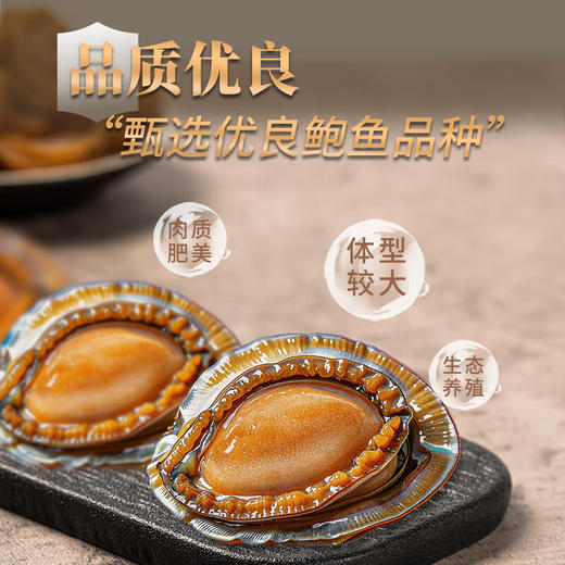 金唐干鲍鱼肉150g 商品图2