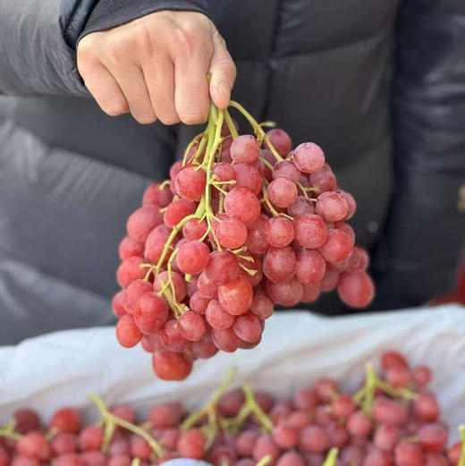 【澳洲无籽红提】脆甜爽口，鲜嫩多汁，世界四大水果之首 商品图1