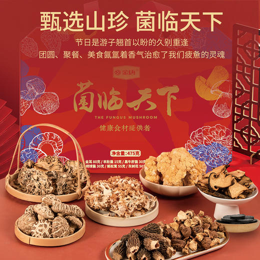 金唐菌临天下475g 商品图4