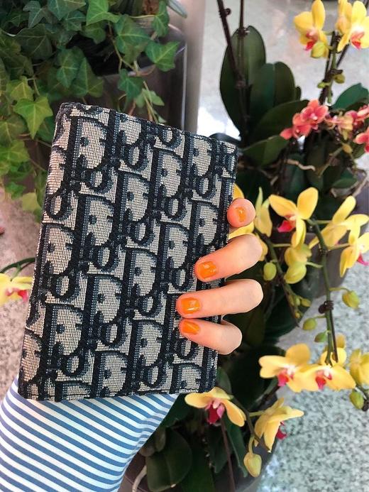 迪奥经典老花护照夹卡包Oblique系列图案自从设计师重制后（MM） 商品图2